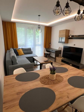 Apartment R&L Švermová - 2 min ESC, balcony